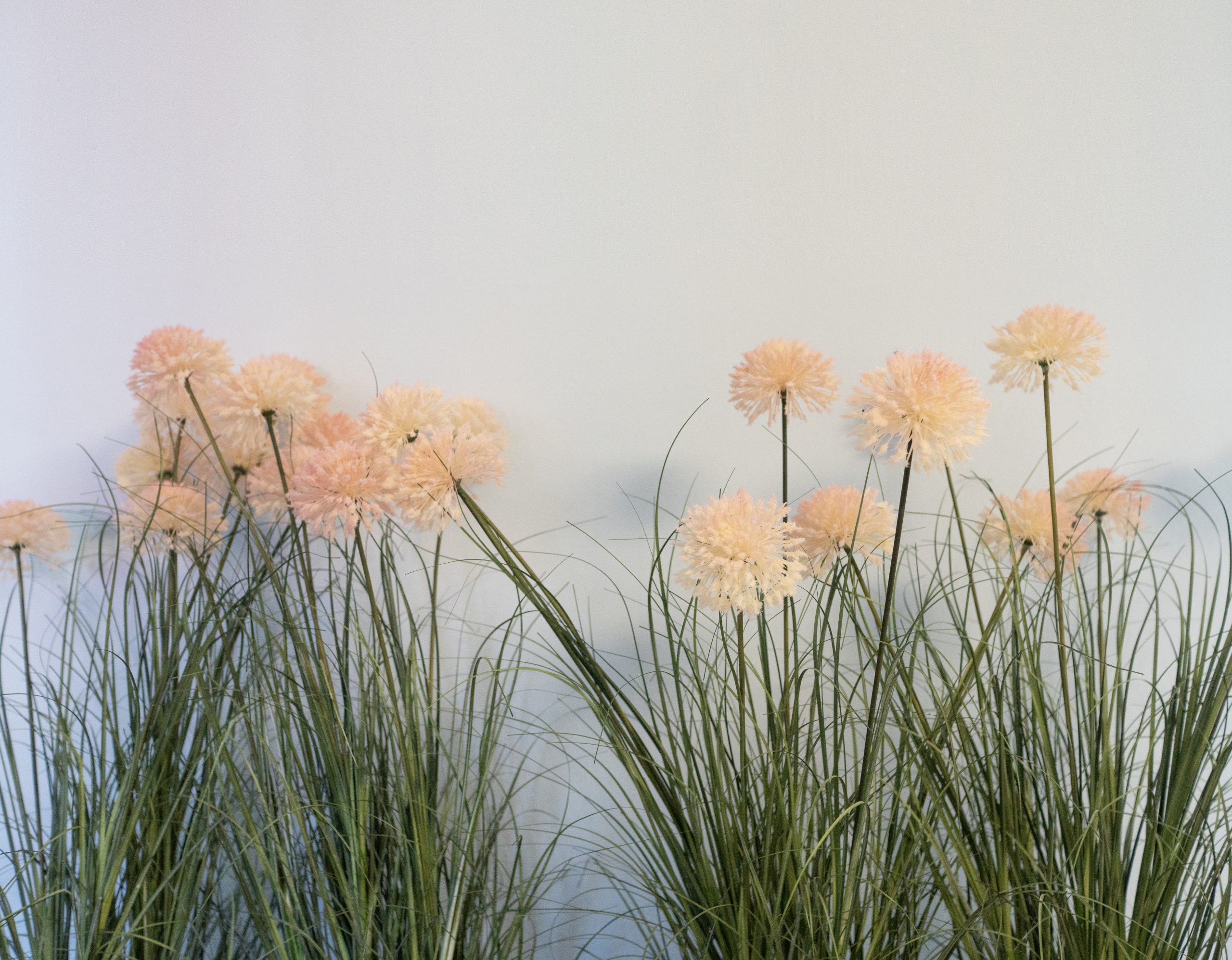 HNO Praxis Hohenmölsen